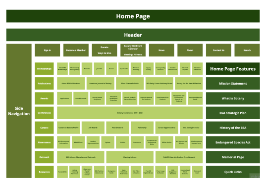 Card Sorting Image